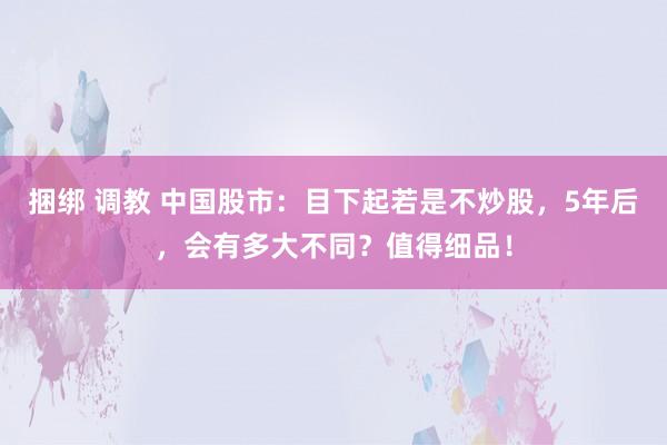 捆绑 调教 中国股市：目下起若是不炒股，5年后，会有多大不同？值得细品！