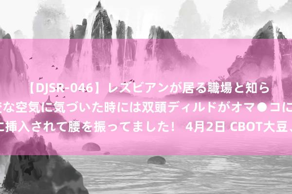 【DJSR-046】レズビアンが居る職場と知らずに来た私（ノンケ） 変な空気に気づいた時には双頭ディルドがオマ●コに挿入されて腰を振ってました！ 4月2日 CBOT大豆、小麦、玉米期货时代分析