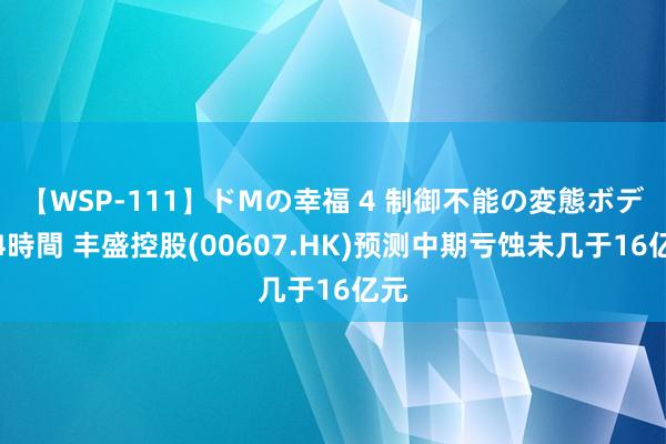 【WSP-111】ドMの幸福 4 制御不能の変態ボディ4時間 丰盛控股(00607.HK)预测中期亏蚀未几于16亿元